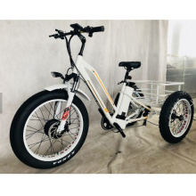 24-20inch Big Power Customized OEM USA 48V 21ah 750W Bafang Front Motor Cheaper Electric Fat Tire Tricycle3